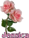 jessica rose