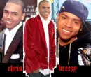 chris breezy