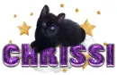 Chrissi-Cute Cat