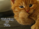 Thinking Of You.