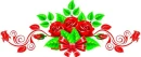 Red roses