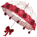 umbrella