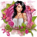 i love pink roses