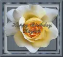 Yellow Rose of Friendship for Kaylah's birthday