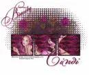 Cindi