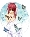 butterflies