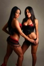 the bella twins