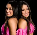 the bella twins