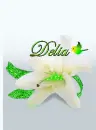 Delia