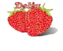 Delia