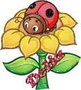 Delia