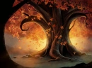 autumn tree