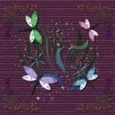 Dragonfly Background