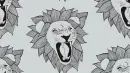 Tiger flower 