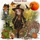 harvest moon