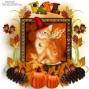 fall