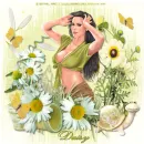 daisy