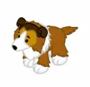 collie webkinz
