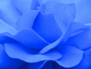 Blue 4