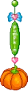 PUMPSKIN