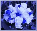 Roses - The Blues