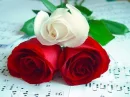 Roses Music
