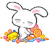 LOLLIPOP