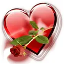 My Heart