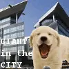 Giant â˜† in the City Â§