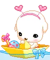 Cute Puppy