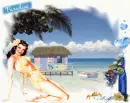 Paradise (tropical beach)