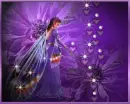 Fairy Purple
