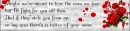 Million dollar houses