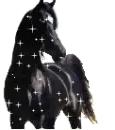 horse