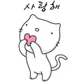 I love you cat