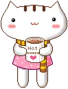 cute cat