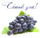 Thank you!