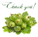 Thank you!