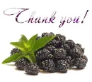 Thank you!