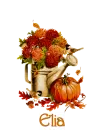 fall tag - Elia