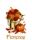 fall tag - Florence