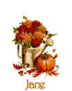 fall tag - Jane