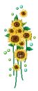 Sun Flower