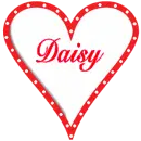 Daisy