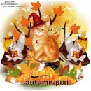 autumn pixi