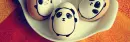 panda eggs. ((part 2))