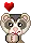 ferret faces - adoring