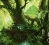 Mysterious Forest