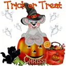 chrissi