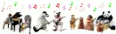 Animal Orchestra â™ªâ™«